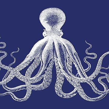 Artwork thumbnail, Octopus | Vintage Octopus | Tentacles | Sea Creatures | Nautical | Ocean | Sea | Beach | Navy Blue and White | by EclecticAtHeart