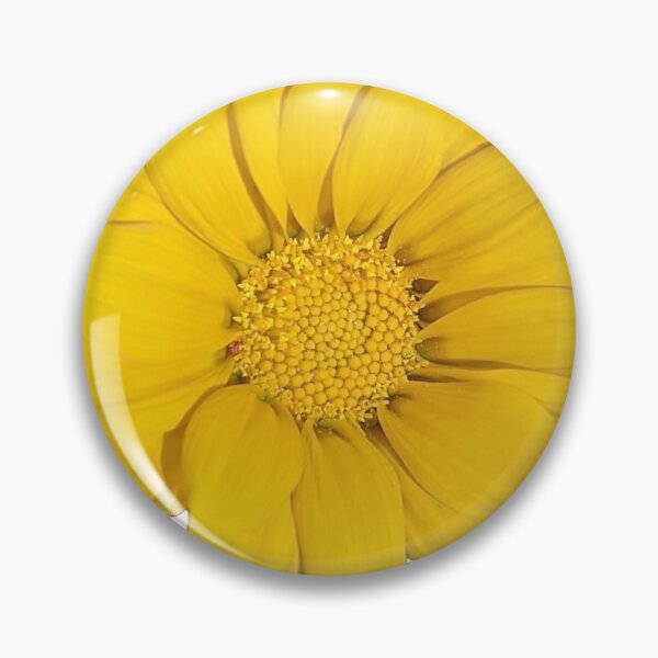 Item preview, Heliopsis Hellianthoides (Smooth Oxeye) designed and sold by PLANTONE.