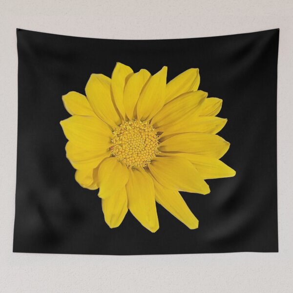 Item preview, Heliopsis Hellianthoides (Smooth Oxeye) designed and sold by PLANTONE.