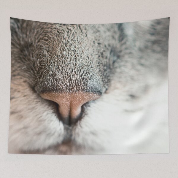 Item preview, Catface, Cat Nose Kitten Nose designed and sold by greg5000.