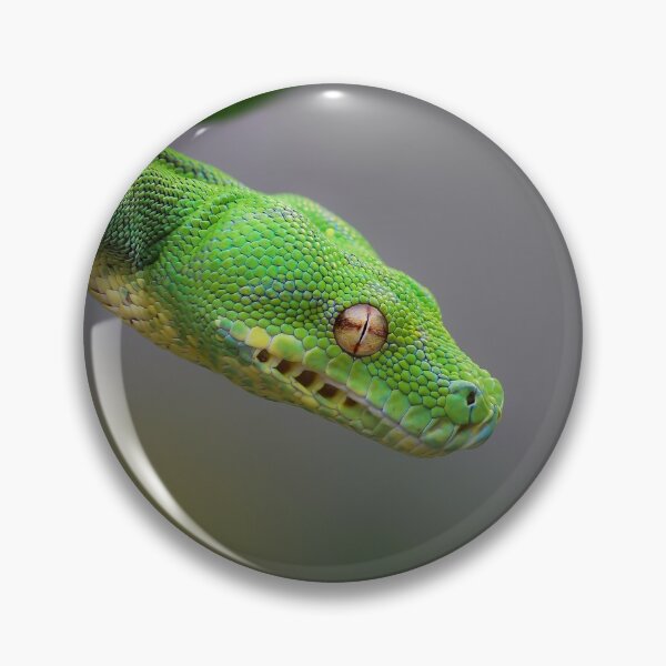 Item preview, Morelia viridis Aru - Green Tree Python - Green tree python designed and sold by Spidergirl.