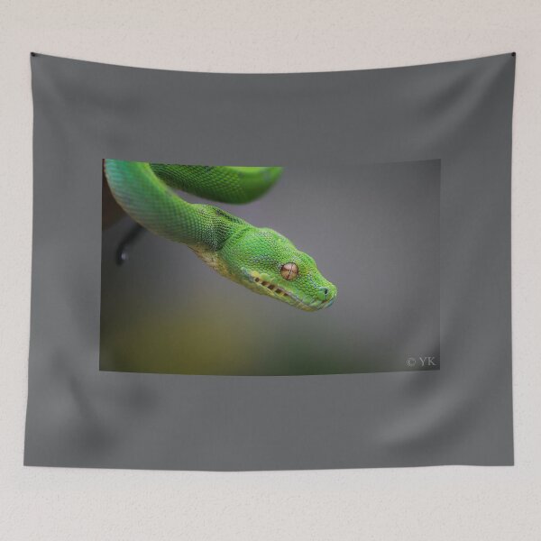 Item preview, Morelia viridis Aru - Green Tree Python - Green tree python designed and sold by Spidergirl.