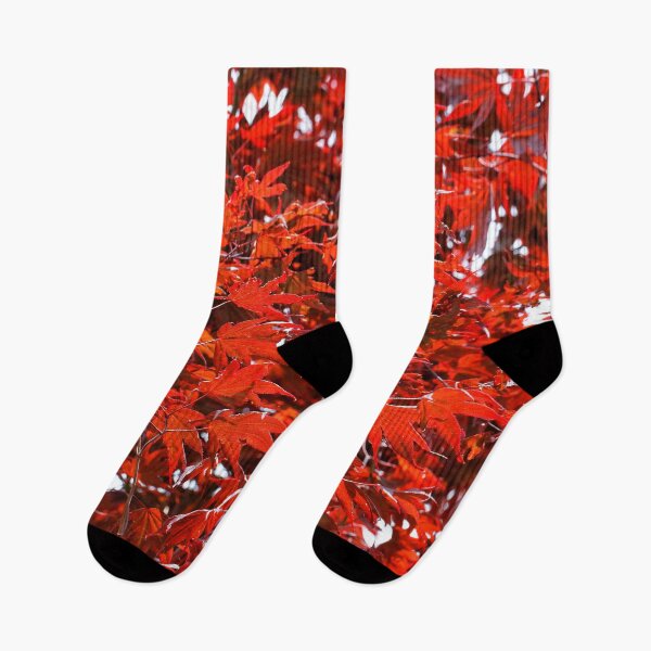 Item preview, Japanese Maple Tree designed and sold by walkswithnature.