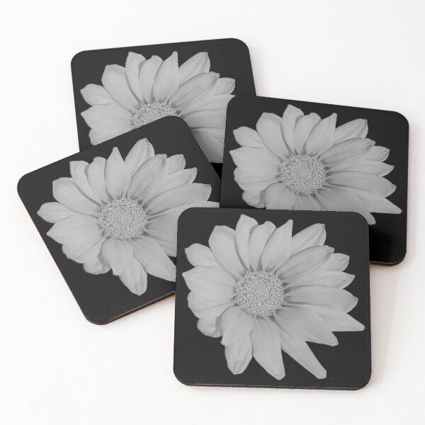 Item preview, Heliopsis Hellianthoides (Smooth Oxeye) Vanilla designed and sold by PLANTONE.