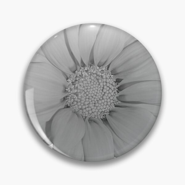 Item preview, Heliopsis Hellianthoides (Smooth Oxeye) Vanilla designed and sold by PLANTONE.