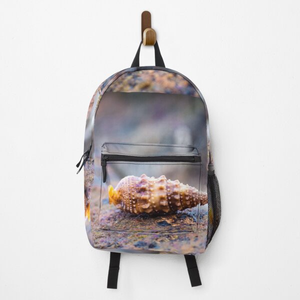 Item preview, shell designed and sold by Gift like the GOAT.