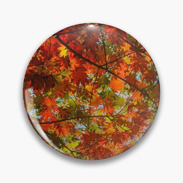 Item preview, "Autumn in Pennsylvania" designed and sold by LMJ1972.