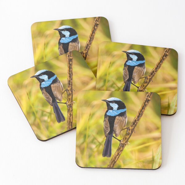 Item preview, Superb Fairy Wren designed and sold by Bruce Reardon.