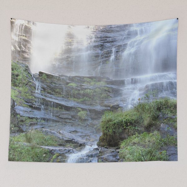 Item preview, Sun on Amicalola designed and sold by Autumn Seas Photography.