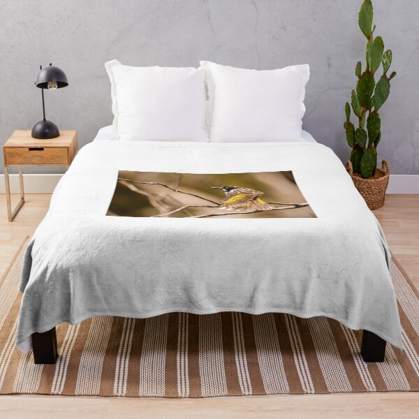 Item preview, New Holland Honey Eater designed and sold by Bruce Reardon.