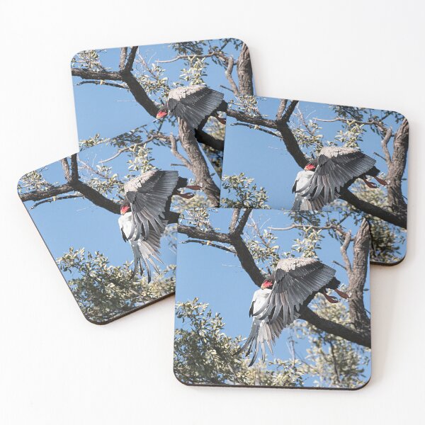 Item preview, Bateleur Eagle designed and sold by Marylou Badeaux.