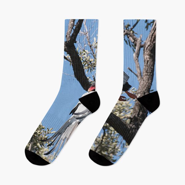 Item preview, Bateleur Eagle designed and sold by Marylou Badeaux.