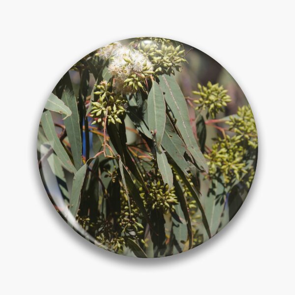 Item preview, Flowering gum designed and sold by MargsNaturePix.