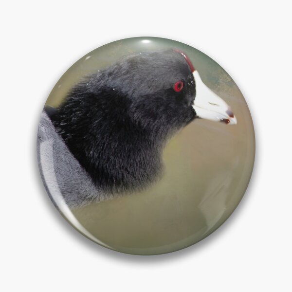 Item preview, American Coot designed and sold by Elisabeth Lucas.