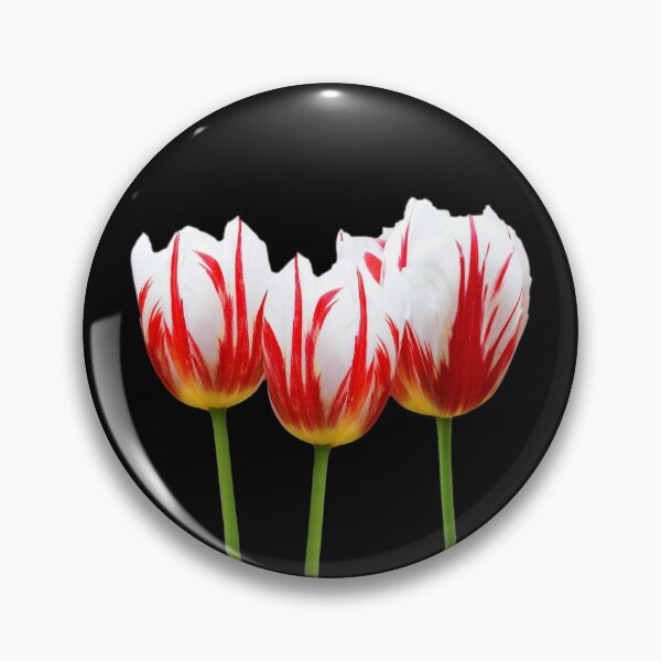 Item preview, Maple Leaf Tulips on Black designed and sold by walkswithnature.