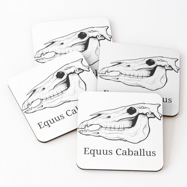 Item preview, Horse skull - equine anatomy - vet student design. designed and sold by HaychGee.