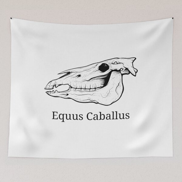 Item preview, Horse skull - equine anatomy - vet student design. designed and sold by HaychGee.