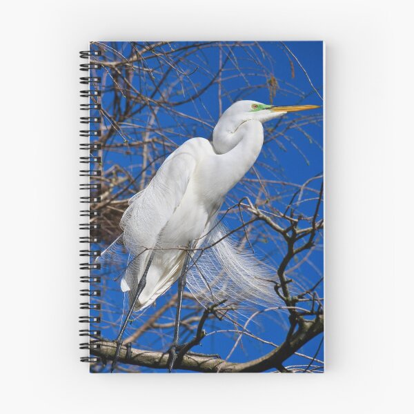 Item preview, Great Egret on a Windy Day designed and sold by richardbryce.