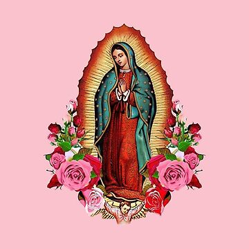 La rosa de Guadalupe our lady of mercy