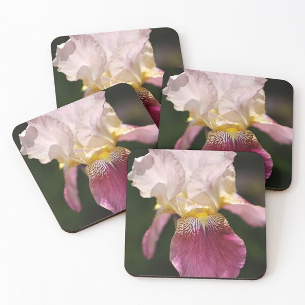 Item preview, Bearded Iris Medium Pink Bloom designed and sold by Joy Watson - Natural Light Photography .