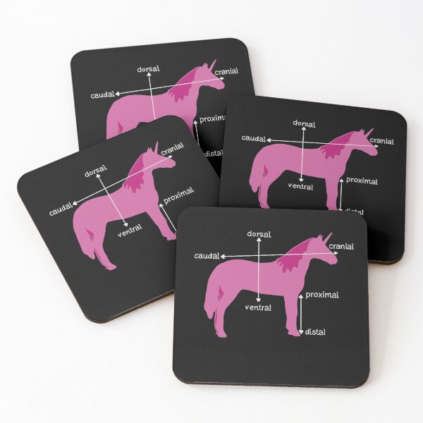 Item preview, Medical Dimensions Explained On A Unicorn designed and sold by isstgeschichte.