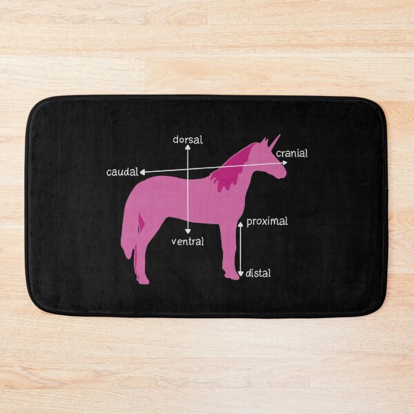 Item preview, Medical Dimensions Explained On A Unicorn designed and sold by isstgeschichte.