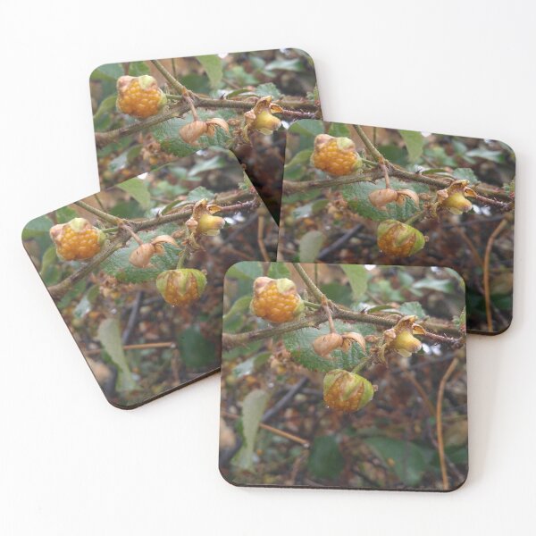Item preview, unique fruit designed and sold by vipinder.
