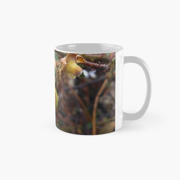 Item preview, unique fruit designed and sold by vipinder.