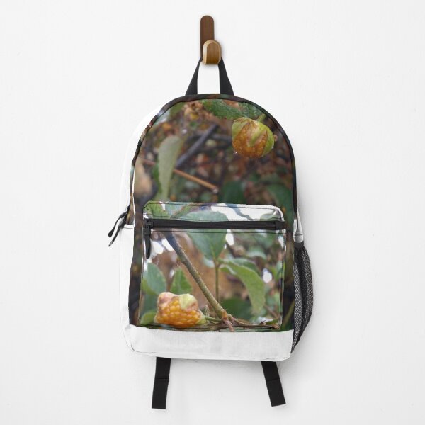 Item preview, unique fruit designed and sold by vipinder.