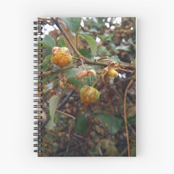 Item preview, unique fruit designed and sold by vipinder.