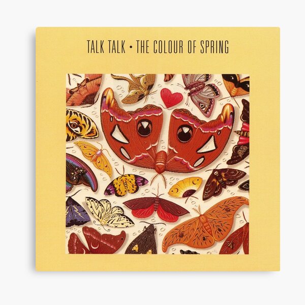 Talk Talk - The Colour of Spring Canvas Print