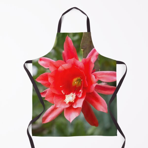 Item preview, Bold Christmas Beauty - Orchid Cactus Bloom in Luscious Red designed and sold by Georgia Mizuleva.
