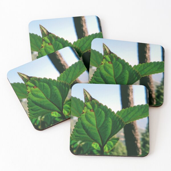 Item preview, leaf designed and sold by vipinder.