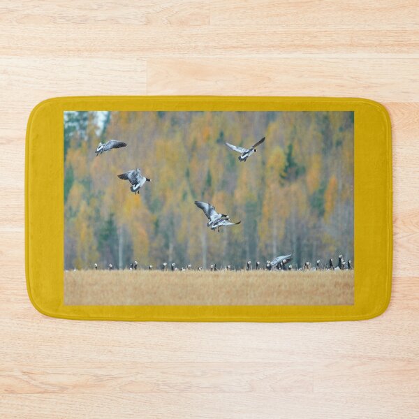 Item preview, On the field. Barnacle geese designed and sold by Jouko Lehto Photography.