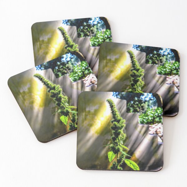 Item preview, potrait designed and sold by vipinder.