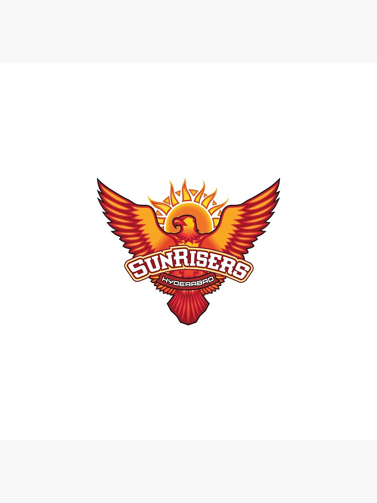 IPL 2017: Sunrisers Hyderabad complete squad, key players and list of  matches - IPL 2017 News | The Financial Express