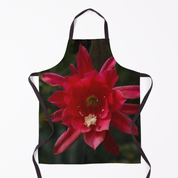 Item preview, One Very Red Orchid Cactus Bloom - Delicate, Luminous and Elegant designed and sold by Georgia Mizuleva.