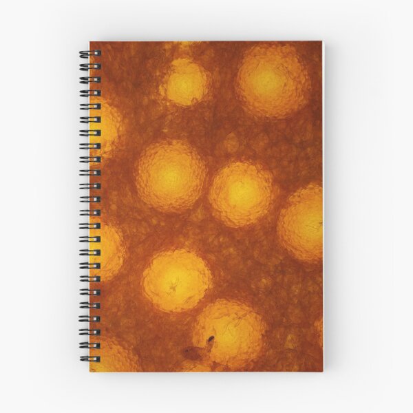 Item preview, Lobster mushroom under the microscope, transmitted light designed and sold by SDym Photography.
