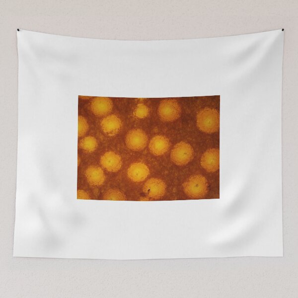 Item preview, Lobster mushroom under the microscope, transmitted light designed and sold by SDym Photography.