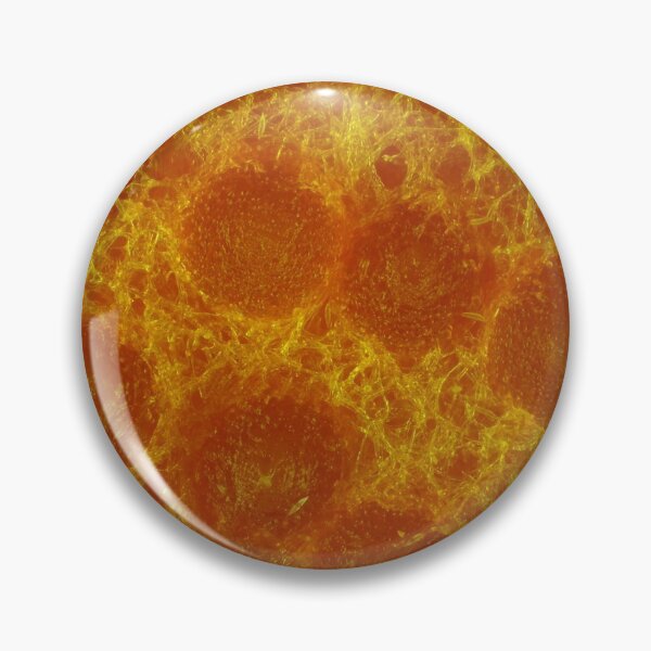Item preview, Lobster mushroom under the microscope, reflected light designed and sold by SDym Photography.