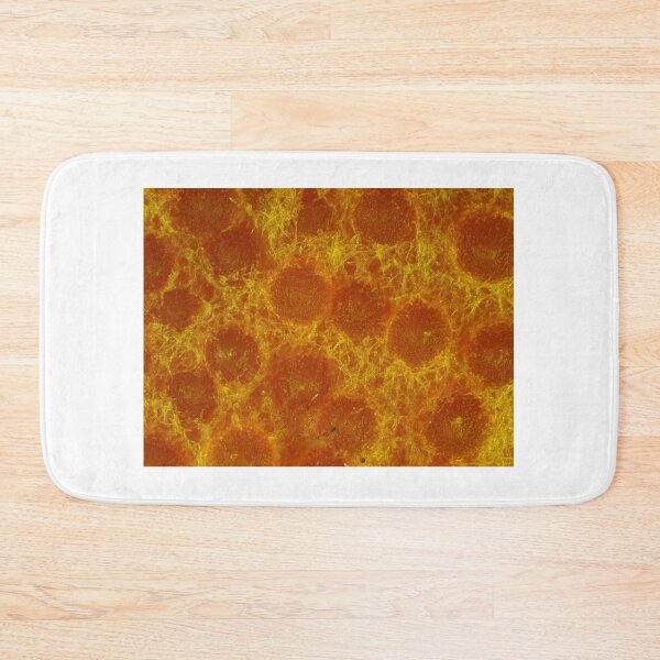 Item preview, Lobster mushroom under the microscope, reflected light designed and sold by SDym Photography.