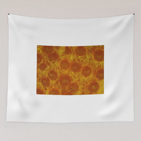 Item preview, Lobster mushroom under the microscope, reflected light designed and sold by SDym Photography.