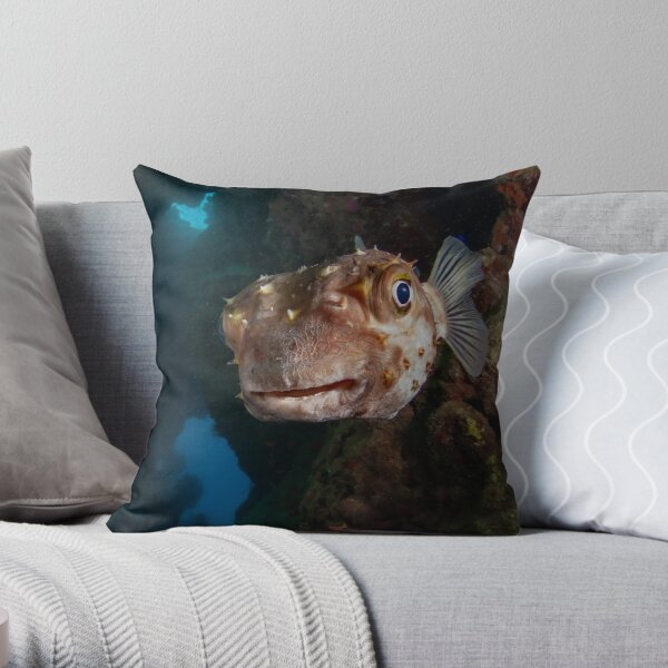 Pillow Cover A nemo fish 