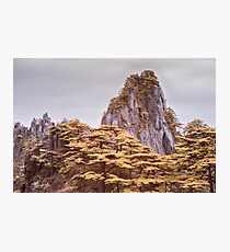 Einzelspitze Fotodruck
