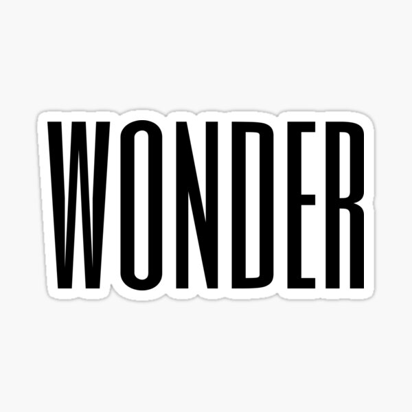 Shawn Mendes - Wonder (Tradução) 