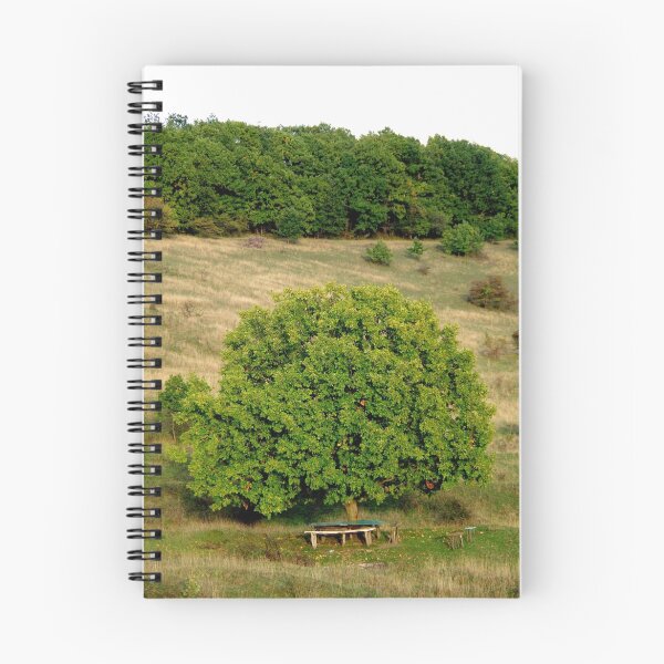 Item preview, Bench Under Tree designed and sold by Mezei József Tibor.