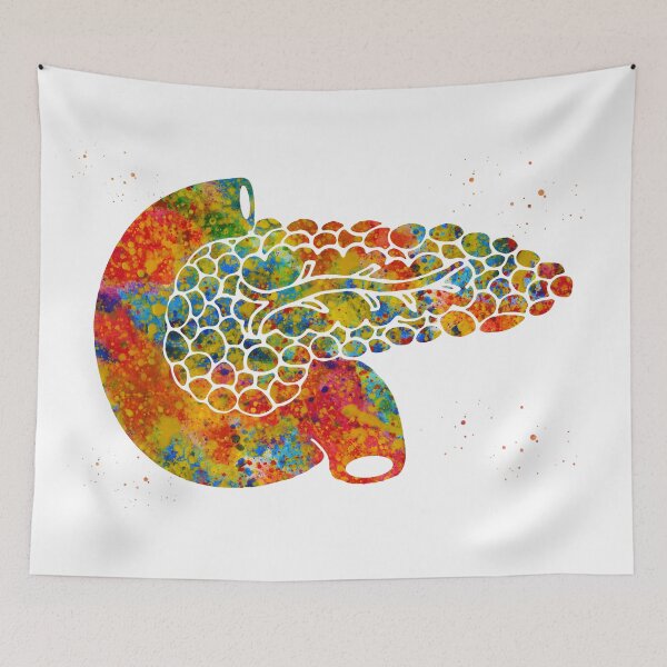 Item preview, Pancreas designed and sold by Liededrom..