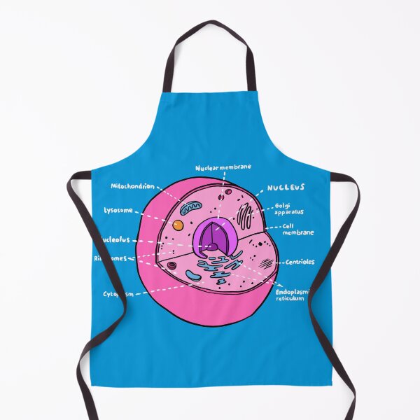 Item preview, Cell (Biology Cheatsheet) designed and sold by isstgeschichte.
