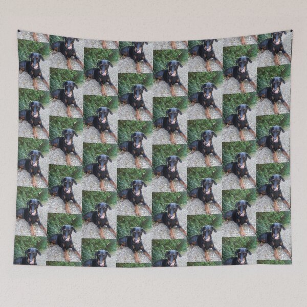 Item preview, Dog, doberman, love designed and sold by Sternchen2789.