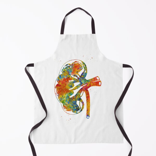 Item preview, Kidney section designed and sold by Liededrom..